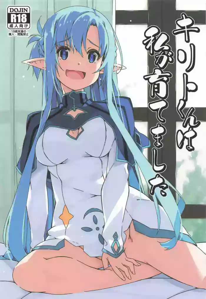 (SC2025 Summer) [Angyadow (Shikei)] Kirito-kun to Watashi ga Sodatemashita (Sword Art Online) [English] [VGT13] cover